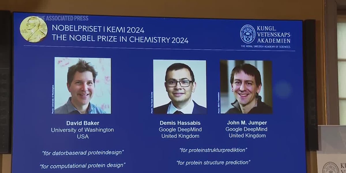 Nobel Prize in chemistry awarded to 3 scientists for work on proteins, building blocks of life [Video]