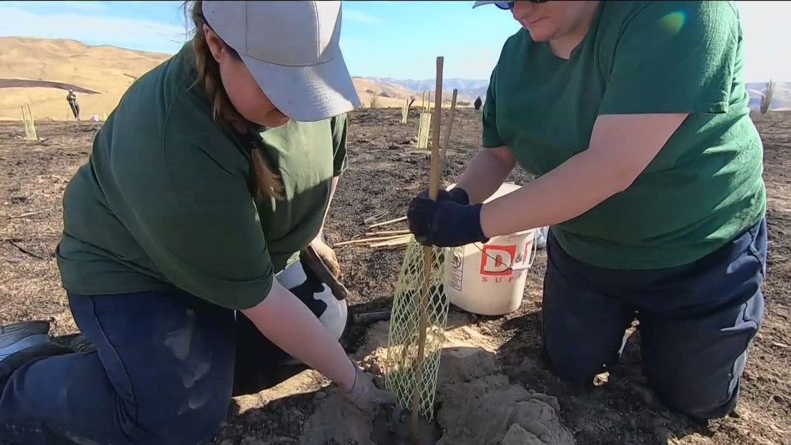 Incarcerated women restoring Idaho’s burn scar land [Video]