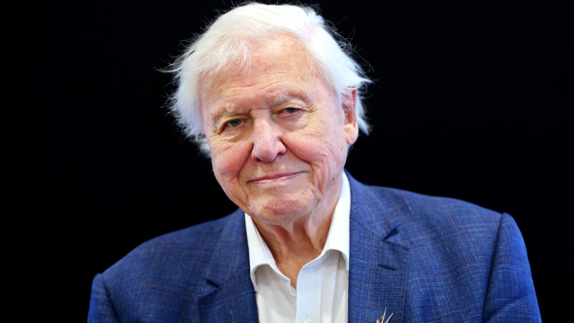 BBC to make futuristic change to David Attenborough nature documentaries in fight against streaming giants [Video]