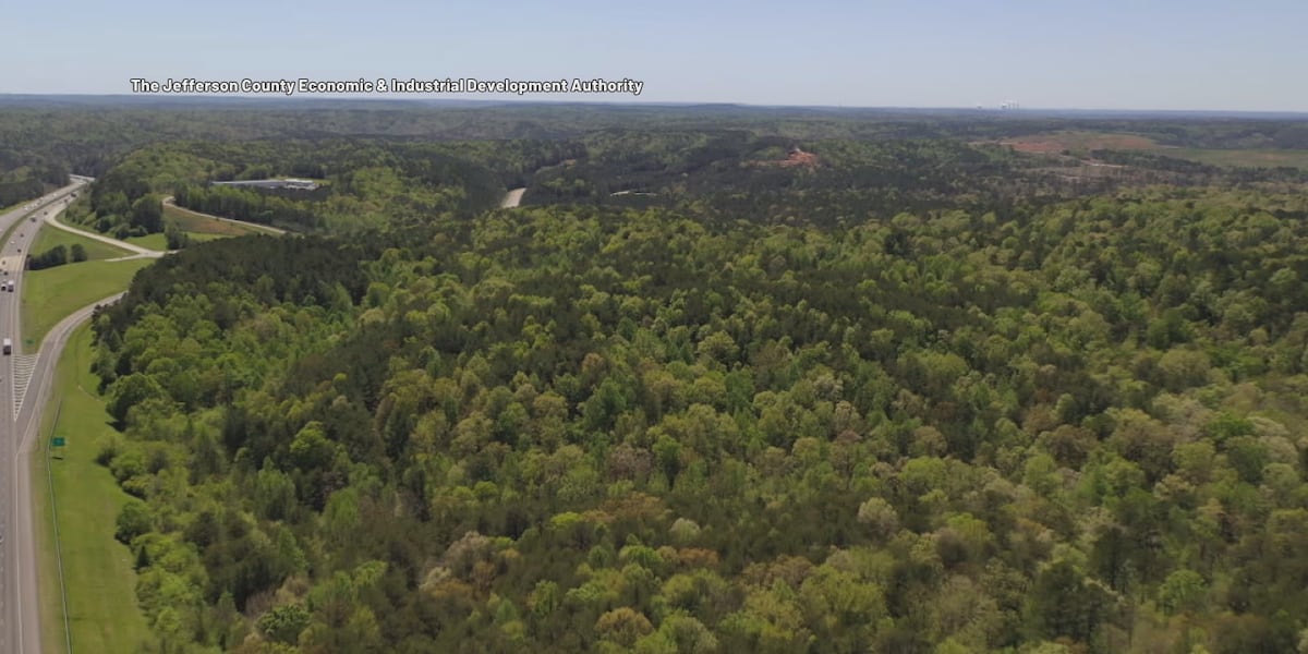 Gardendale mayor expects industrial park to bring new jobs, more homes [Video]