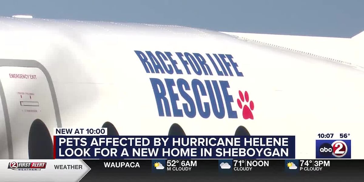 Pets affected by Hurricane Helene look for a new home in Sheboygan [Video]