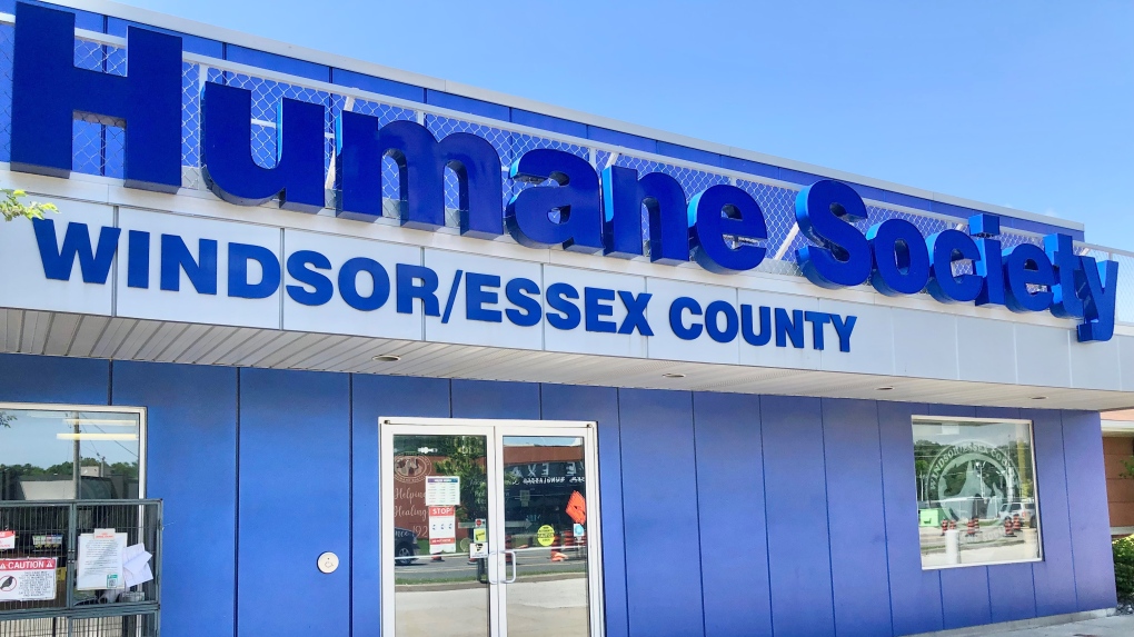 Windsor-Essex County Humane Society moves self-governing model [Video]