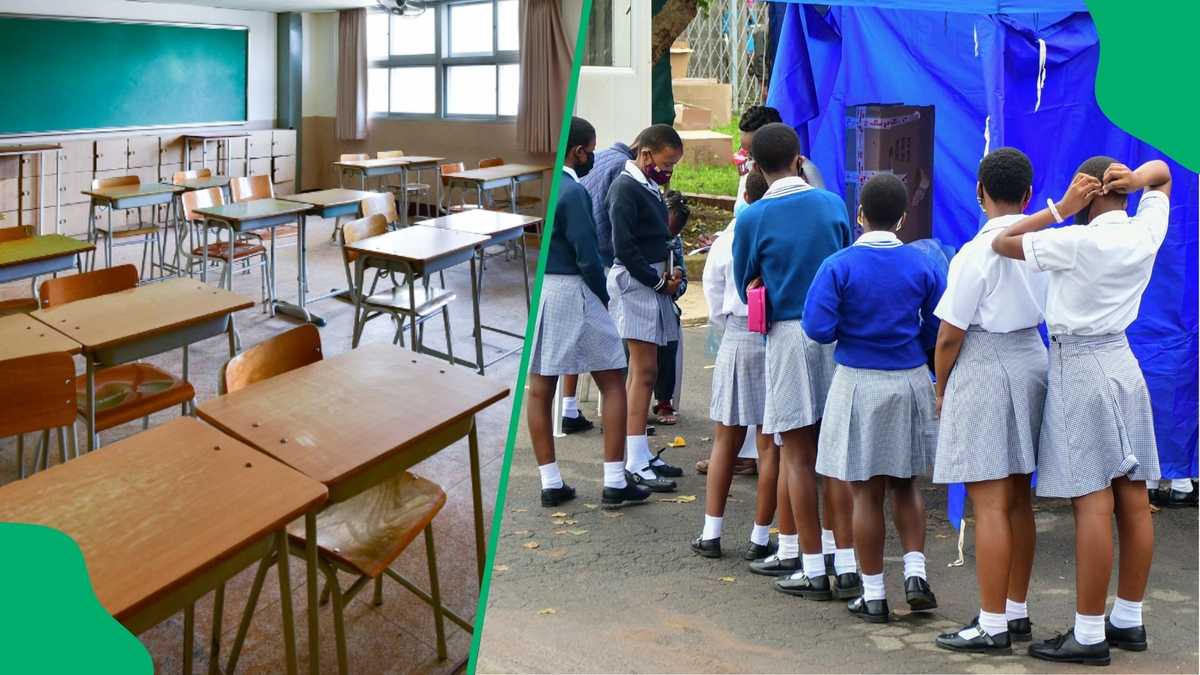 DA Calls for Probe Into Food Poisoning of 74 West Rand Female Pupils at Camp [Video]