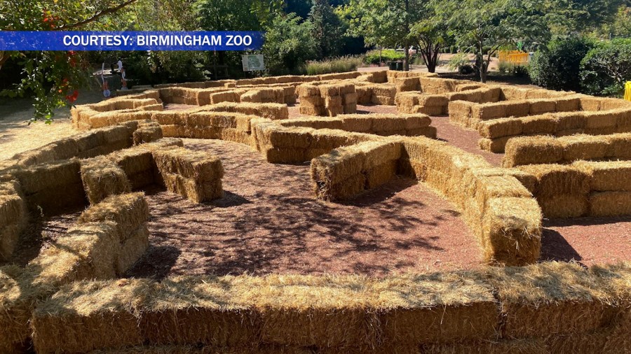 Hoots & Howls at the Birmingham Zoo begins Saturday [Video]