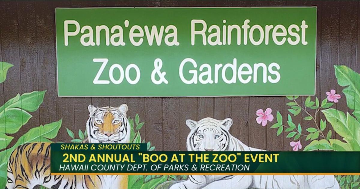 Shakas & Shoutouts: Boo at the Zoo, Kaua’i Matsuri Festival, & Prep Your Home for the Holidays | Island Life Live [Video]