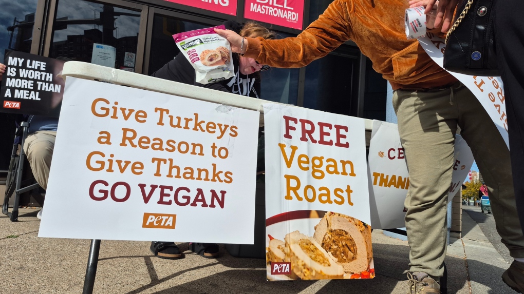 Windsor group and PETA gives away free vegan roasts [Video]