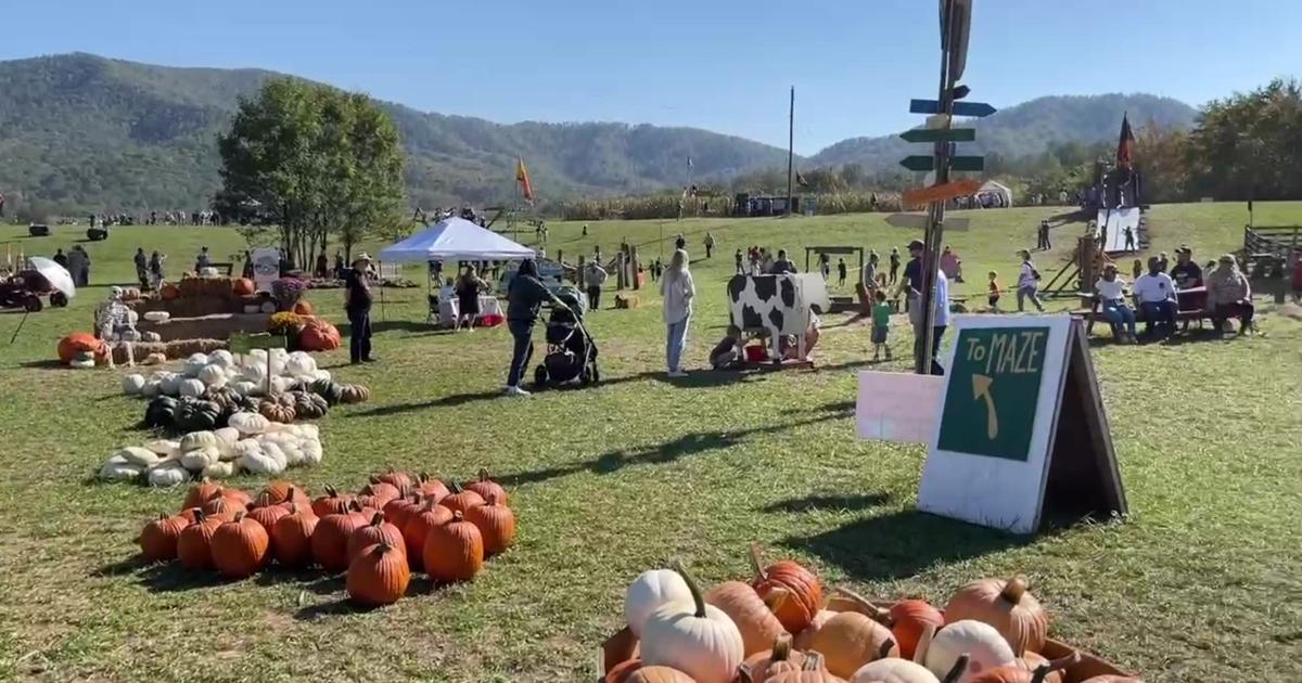 Corn Maze and Fall Festival [Video]