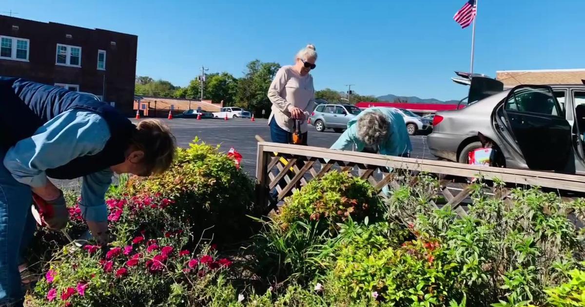 Village Garden Club of Amherst spruces up Main Street [Video]