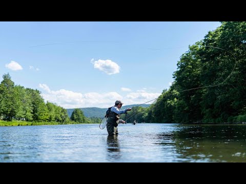 The Best Fly Rods of 2024, Tested and Reviewed [Video]