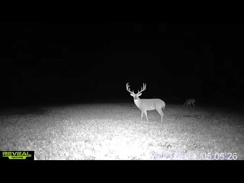 Hunter Arrows Massive Missouri 10 Point with 25-Inch Spread [Video]