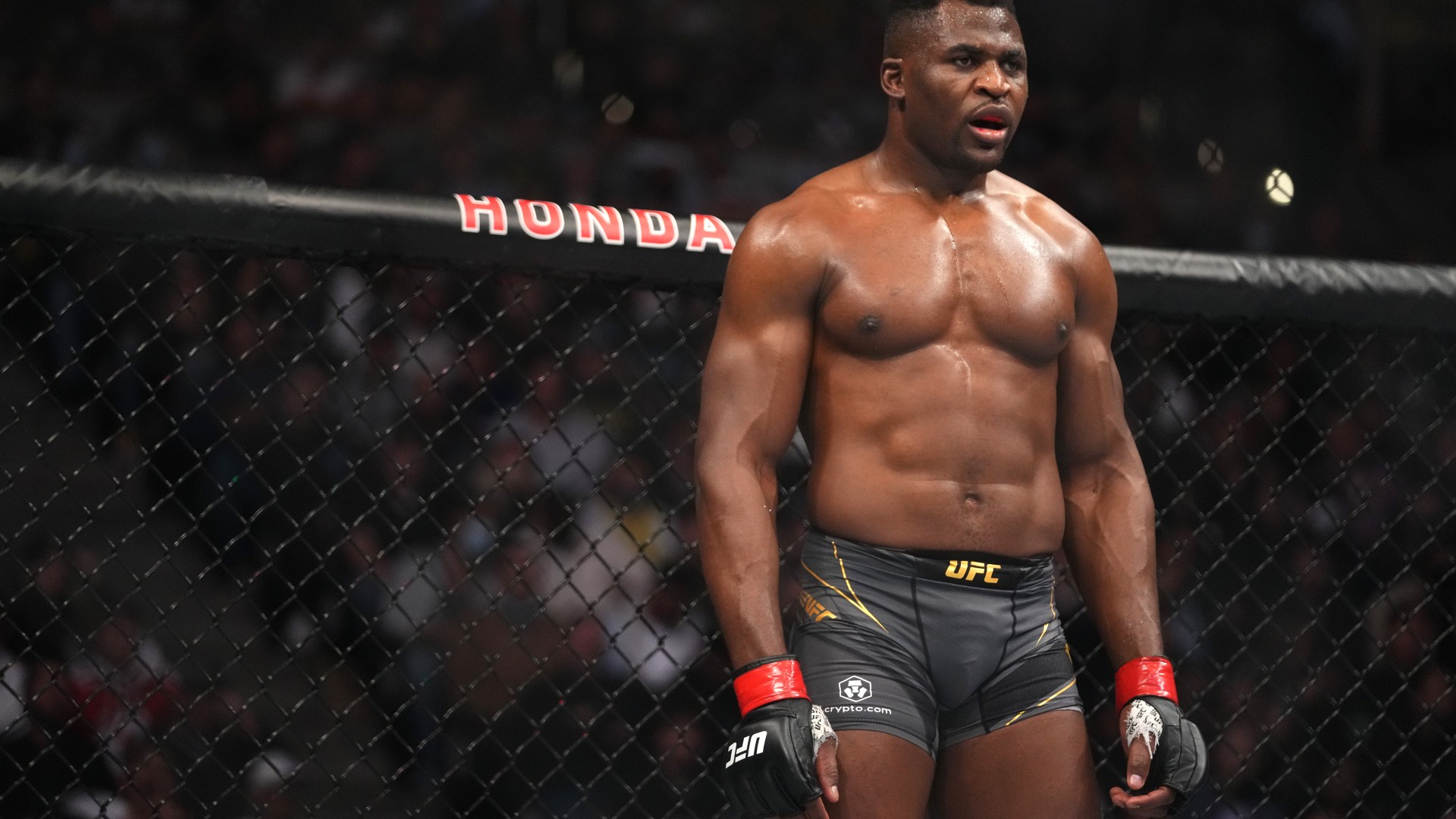 Francis Ngannou opponents will get payday worth millions after Tyson Fury and Anthony Joshua fights [Video]