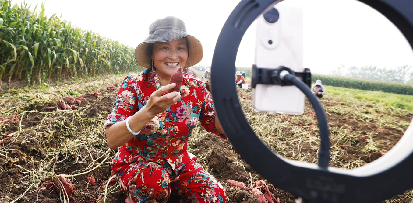 How Chinas rural influencers are redefining country life [Video]