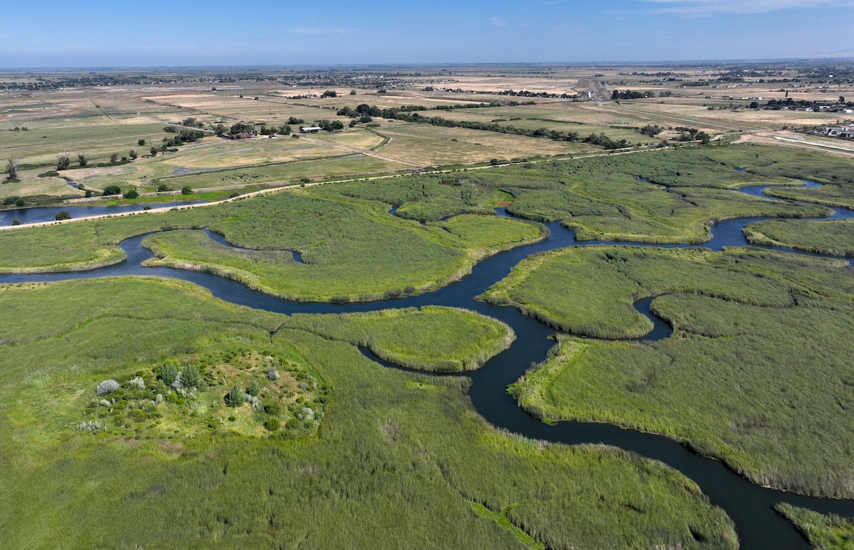 Earths Land and Trees Absorbed Almost No Net Carbon in 2023 [Video]