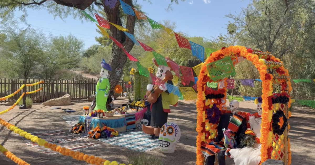 Boo at the Zoo returns with spooky fun and new activities [Video]