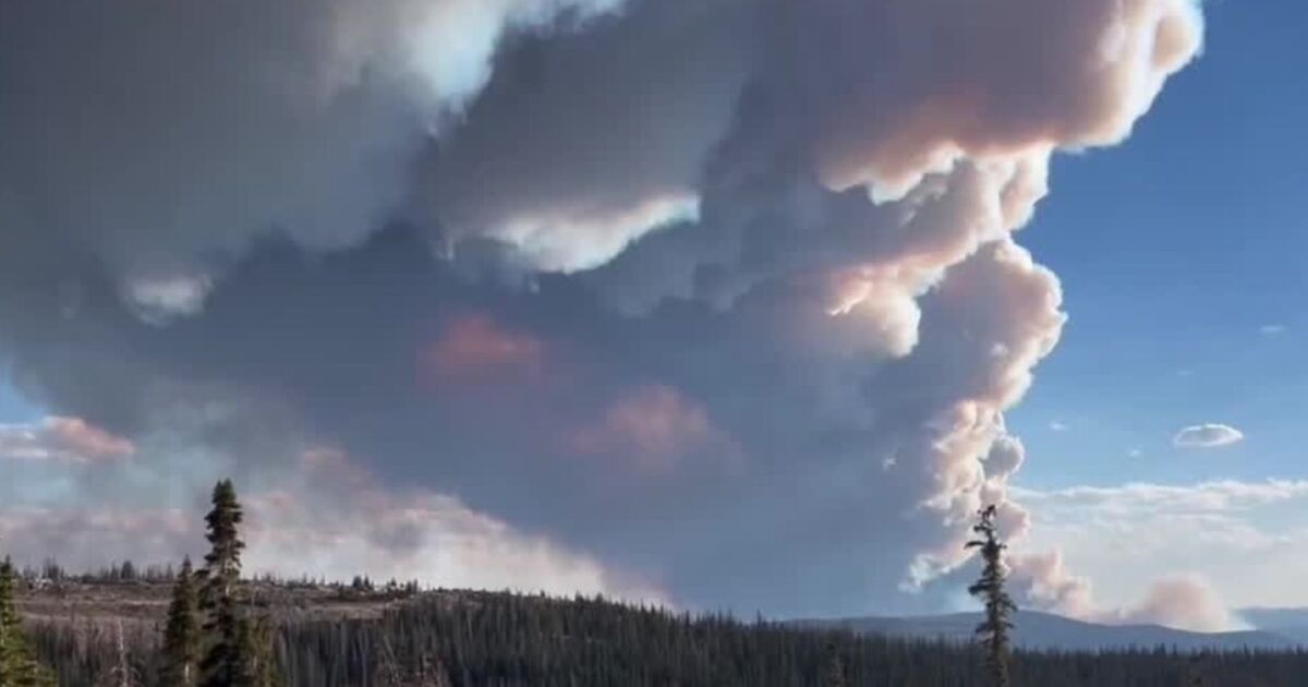 Residents gain insights about Yellow Lake Fire as it continues to grow [Video]