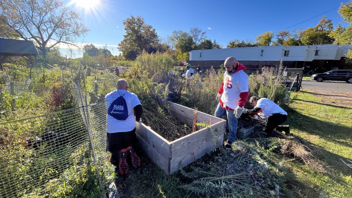 Citywide cleanup of Hartfords green spaces underway for Love Hartford Week  NBC Connecticut [Video]