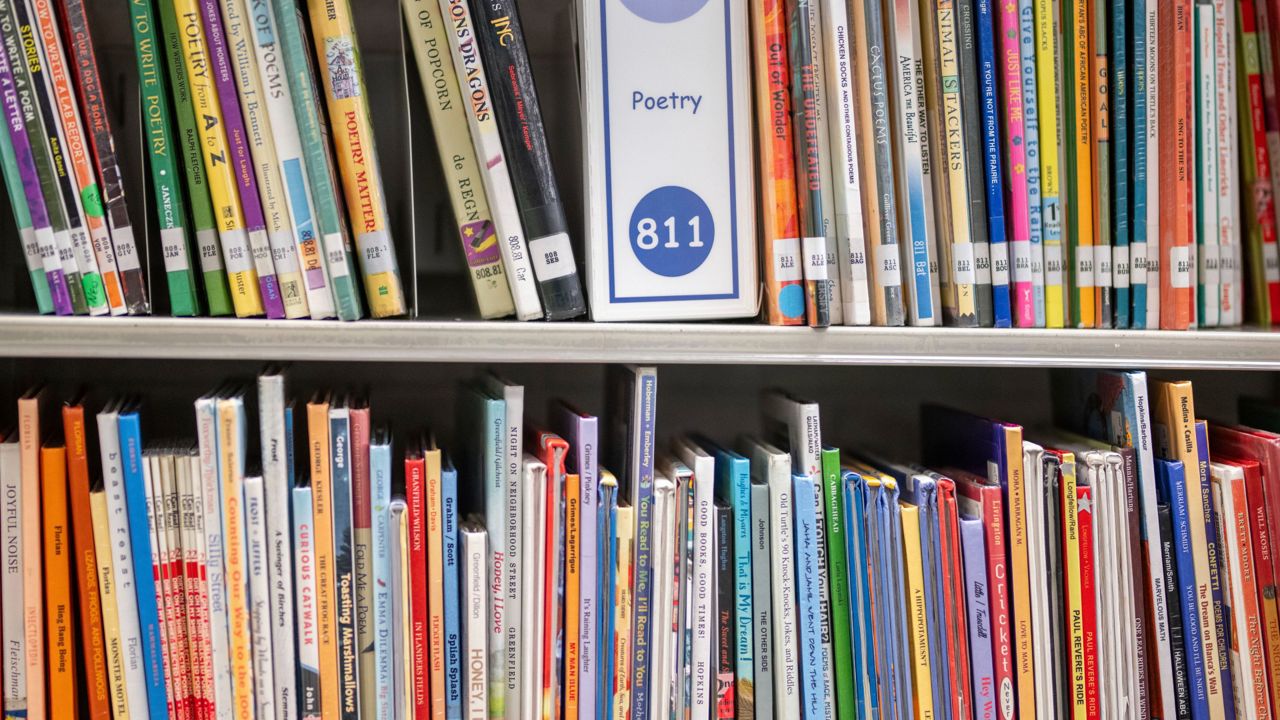 New state law expands aid for some library projects [Video]