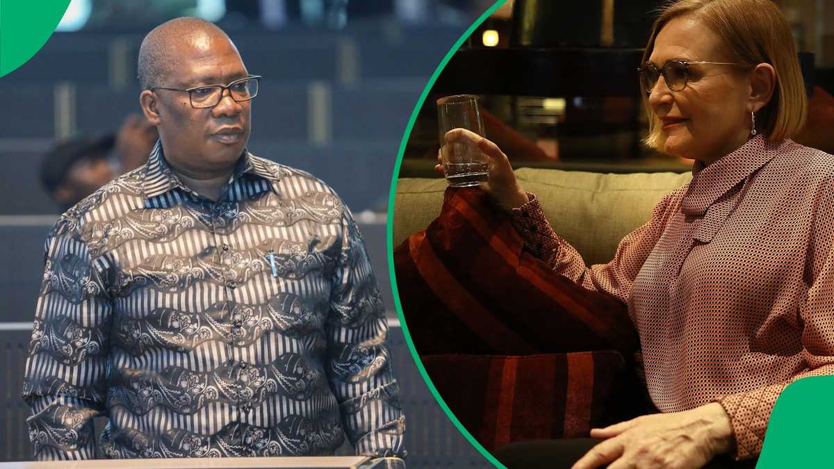 Panyaza Lesufi Tired of DAs Obsession With Him, Mzansi Jokes That Helen Zille Has a Crush on Him [Video]