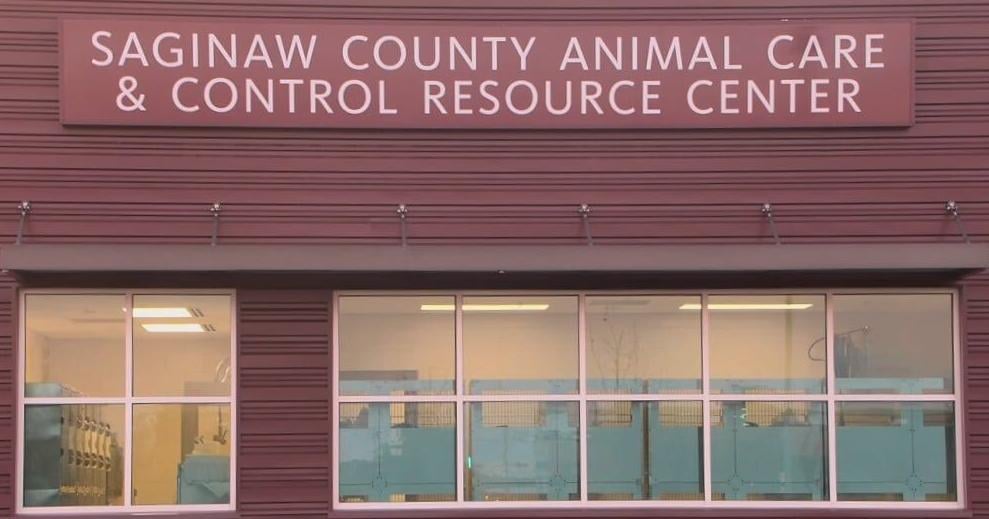 Animal advocates allege continued problems at Saginaw County shelter | Local [Video]