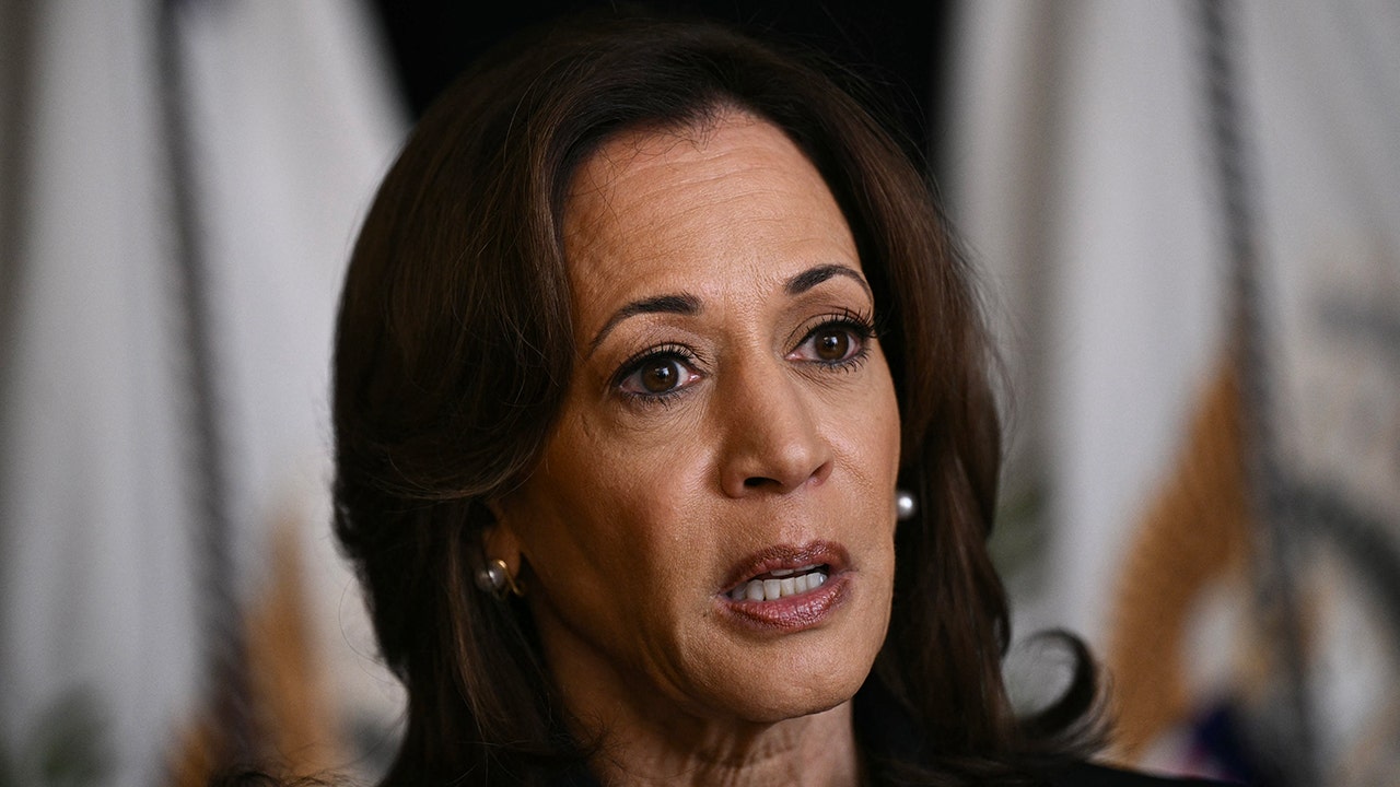 Ineffective planning, lack of connections has Harris, Dems on edge in ‘key’ battleground: report [Video]