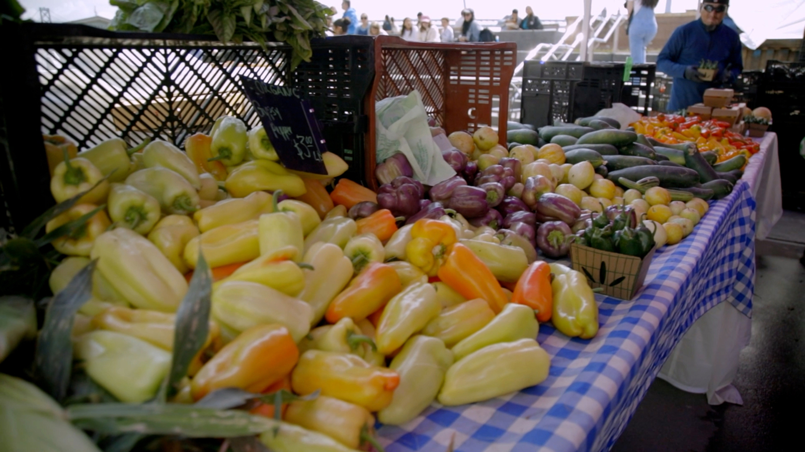 Foodwise Ferry Plaza farmers market Building Equity Program uplifts BIPOC entrepreneurs [Video]