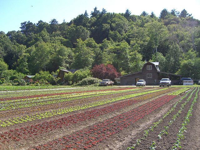 Seeded by USDA, climate-smart products speed to market, says Vilsack [Video]