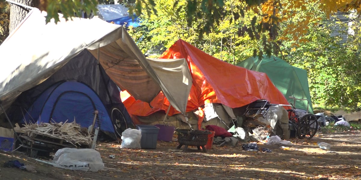 ‘Recipe for failure’: local activist raises concerns about Camp Hope closure [Video]