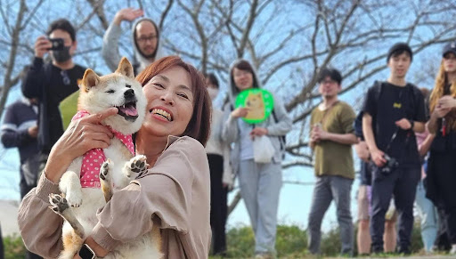 Doge Day 2024: A Celebration of Meme Culture and Kabosu’s Enduring Legacy in Japan [Video]