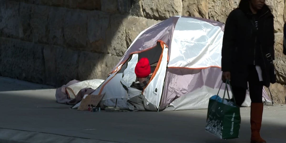 “I’m just trying to survive winter:” Housing crisis takes center stage on campaign trail [Video]