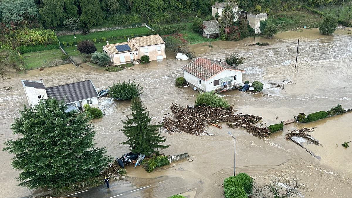 Severe floods bring panic in France with animals swept away and villagers forced to travel around by boat [Video]