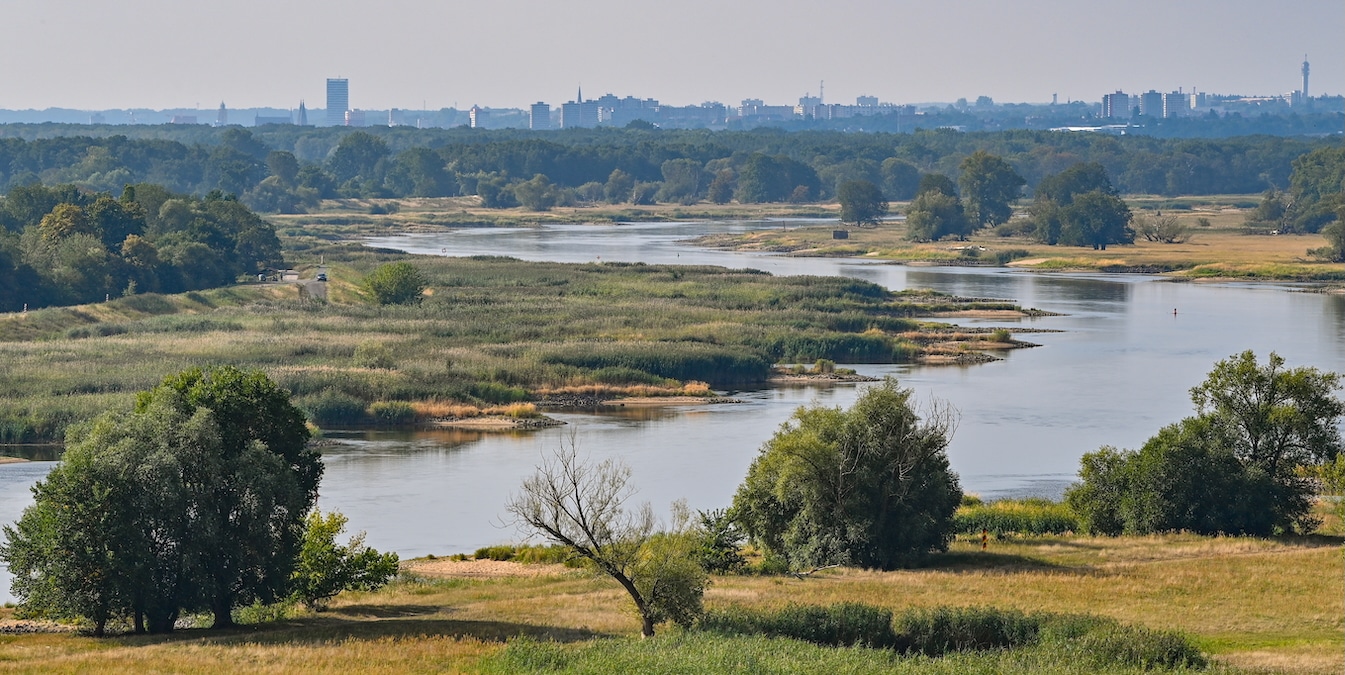 Only 37% of Europes Surface Water Is Healthy, Study Finds [Video]