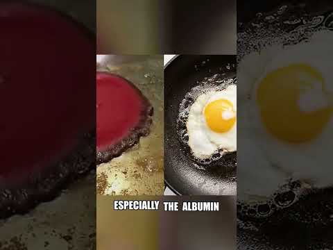 The Bloody Truth About Baking Blood as an Egg Substitute [Video]