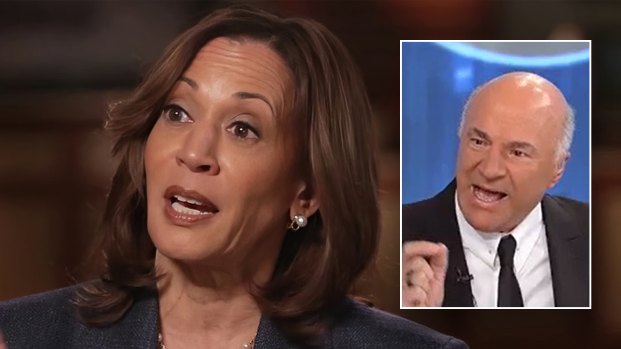 O’Leary calls out Kamala Harris’ ‘huge miss’ for her campaign: This could have been a ‘magic moment’ [Video]