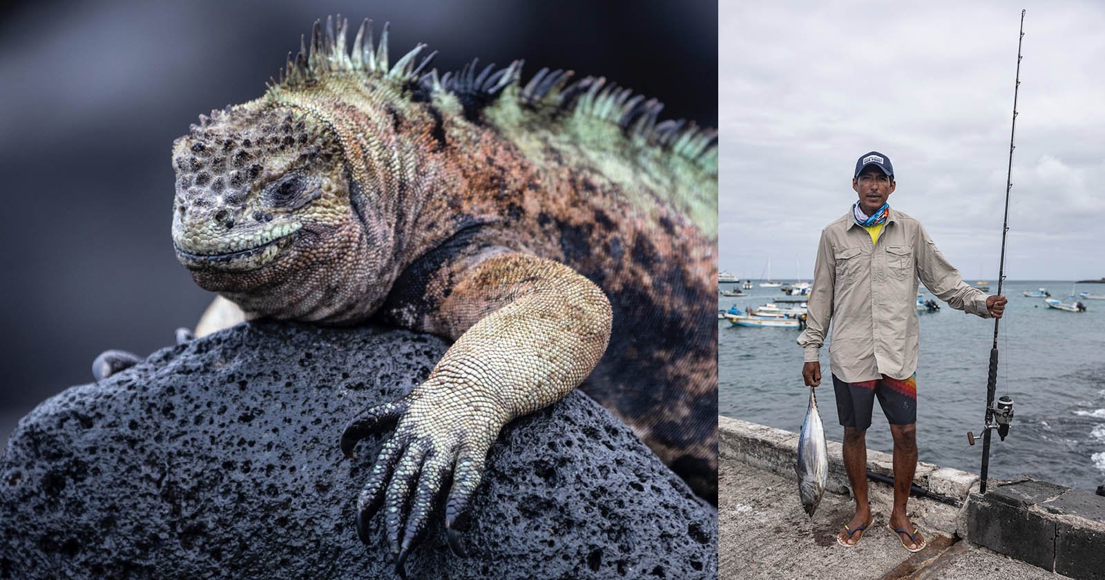 Echoes of Life: Stories of Galapagos [Video]