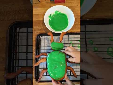 Ohlone tiger beetle doughnuts [Video]