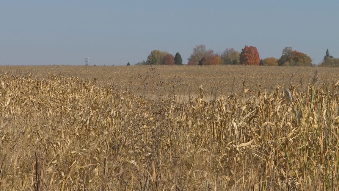 Microsoft buys massive plot of Kent County land [Video]