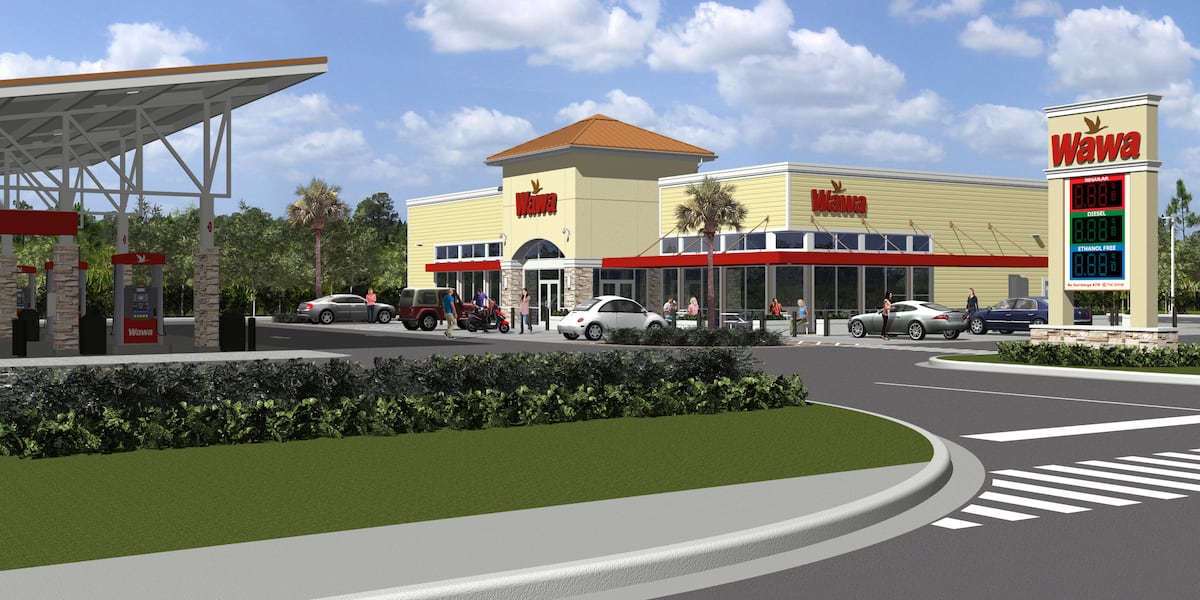 Wawa announces opening date for first store in Georgia [Video]