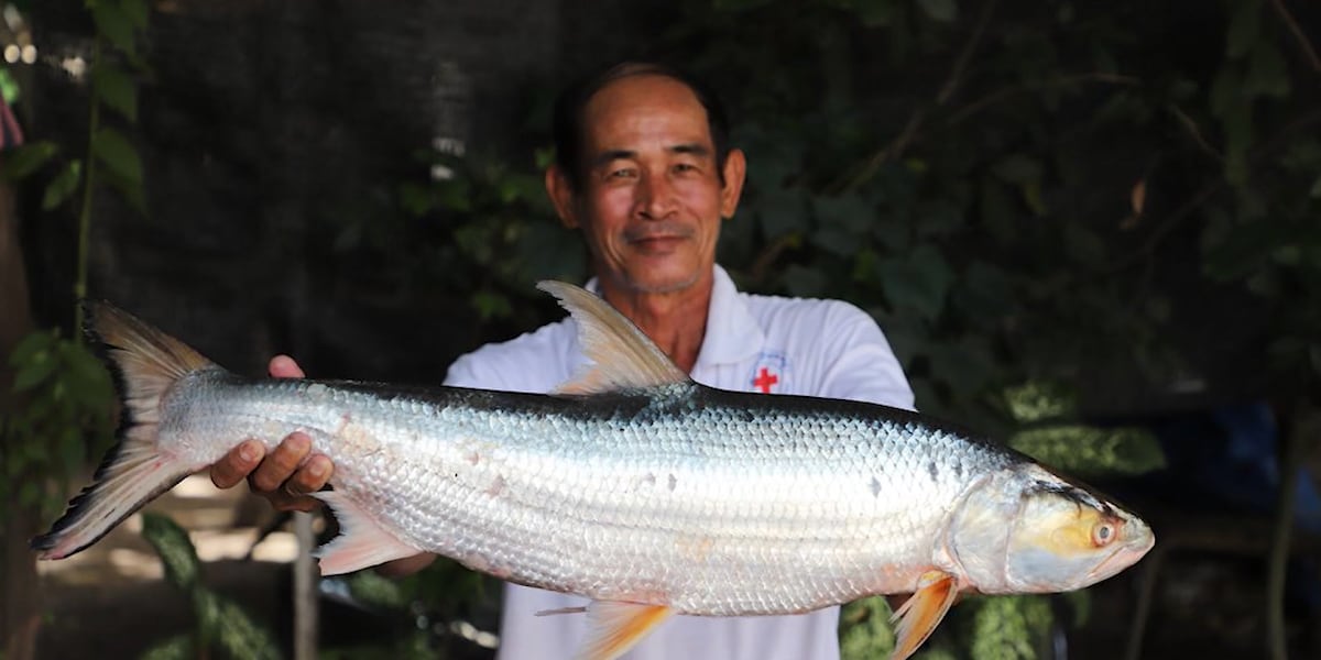 Scientist shocked by giant ‘ghost fish’ rediscovery [Video]