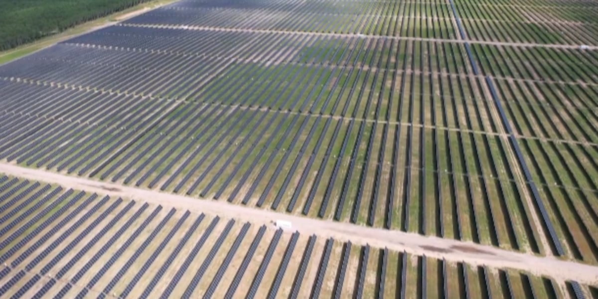 Nine statewide solar projects, including one in Wood Co., earn sustainability awards [Video]