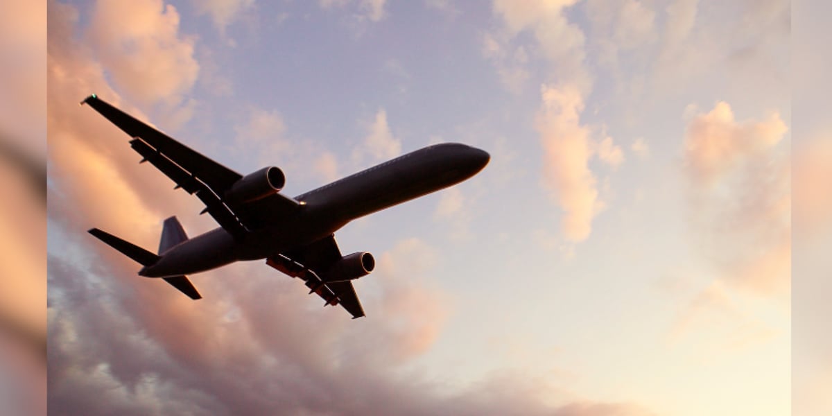 Veteran told to get off Delta flight over ‘threatening’ shirt, reports say [Video]