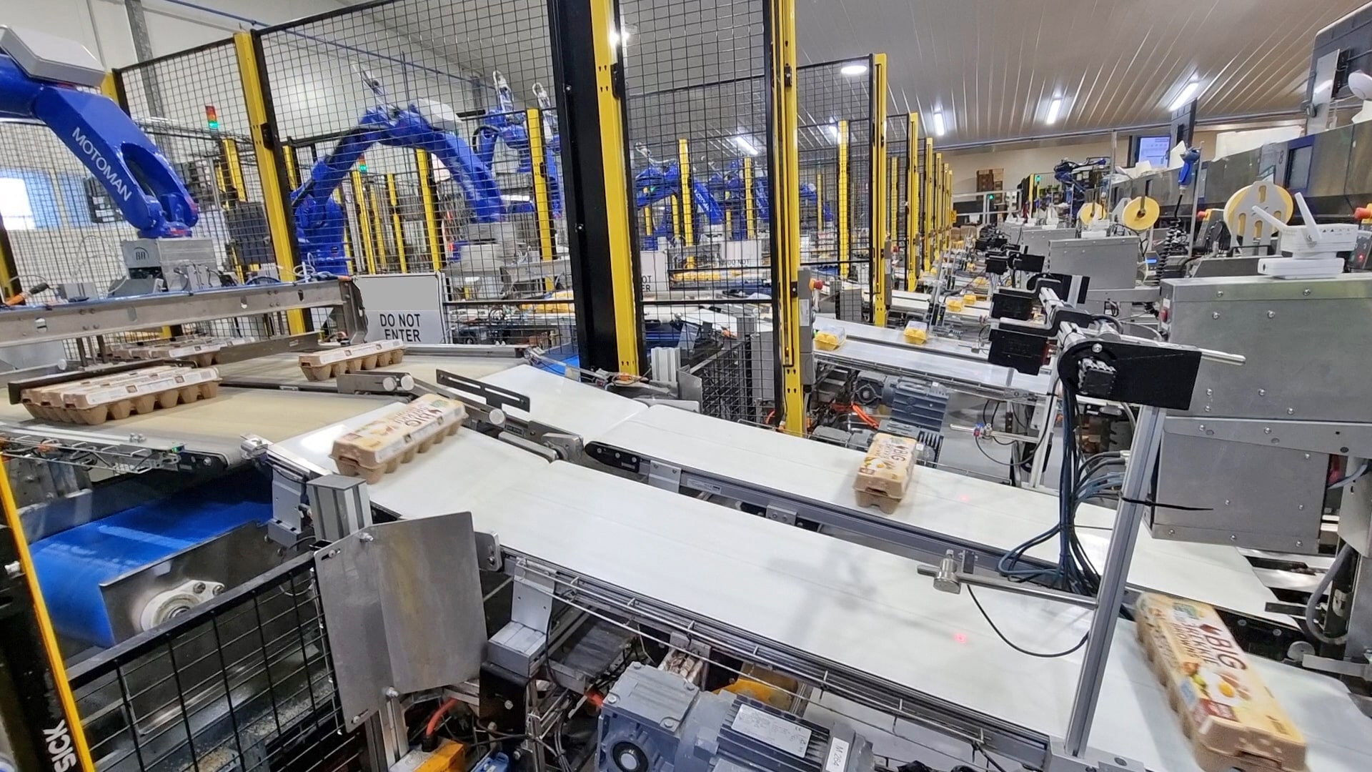 Robotic Egg Packaging Solution – Robotic Automation [Video]