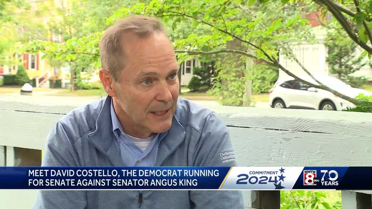 Meet David Costello, the Democrat running for Senate [Video]