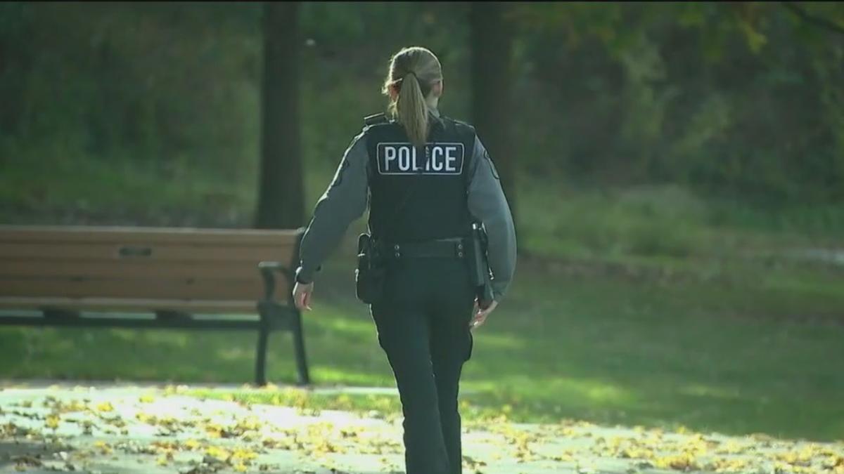 Bolingbrook police investigate suspected human skull found in wooded area [Video]