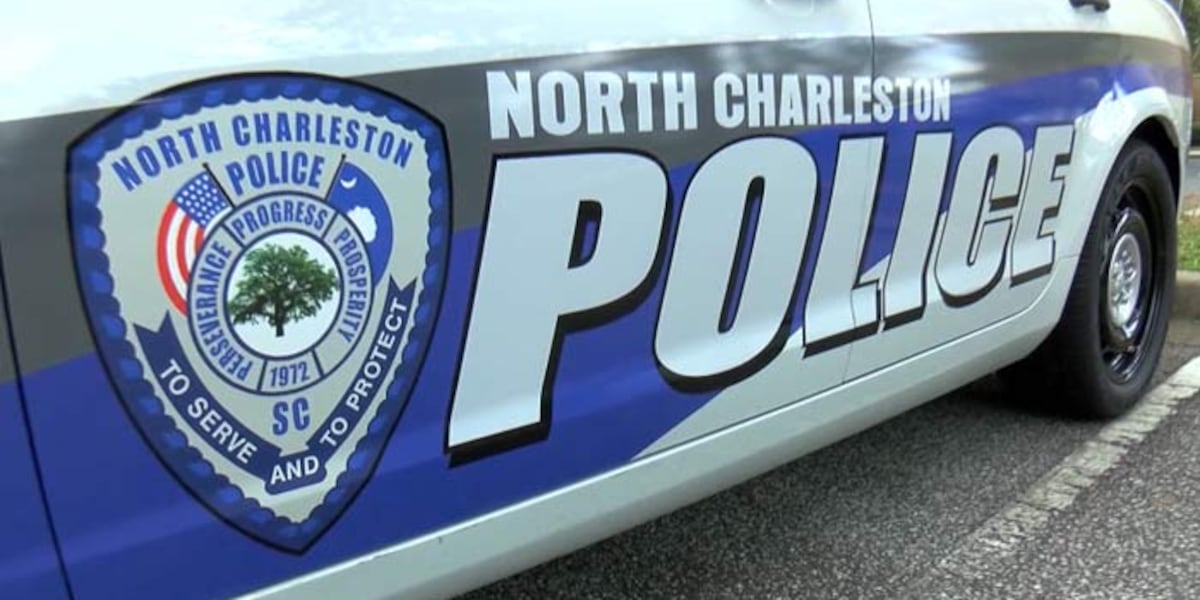 City officials finalize steps for selecting next N. Charleston Police chief [Video]