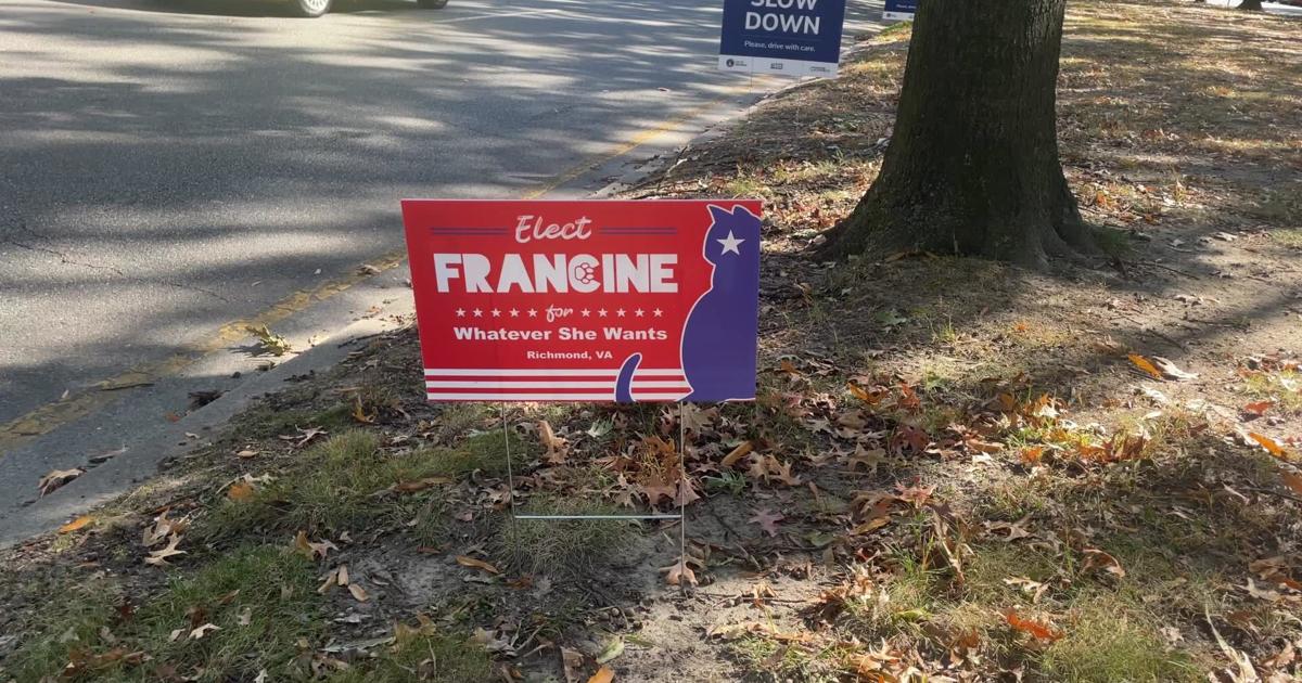 Vote for Francine posters along Monument Avenue [Video]