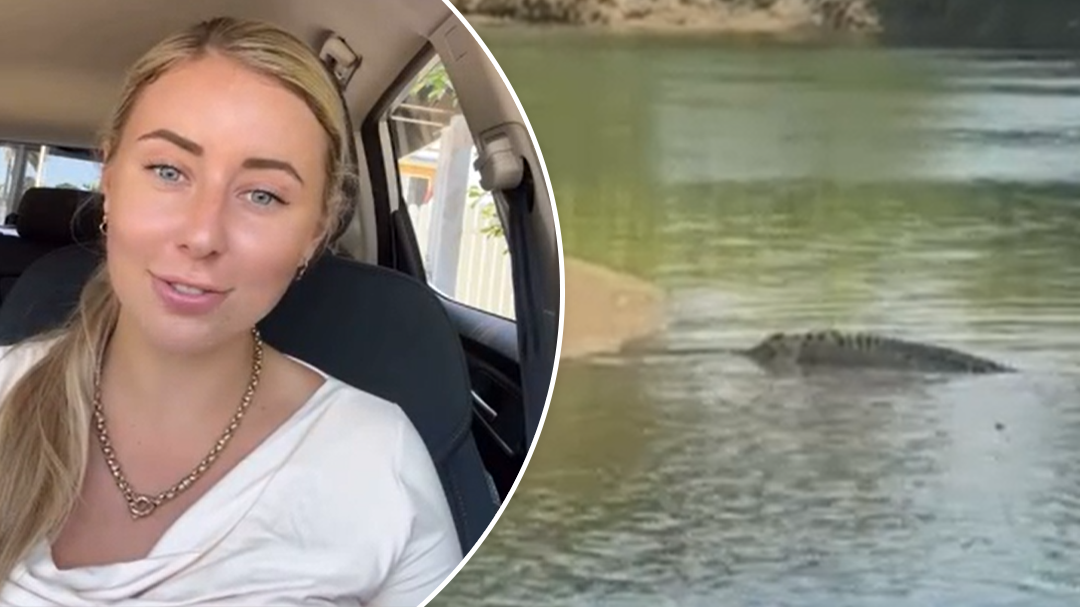 Influencer charged with stealing licenses in Queensland [Video]