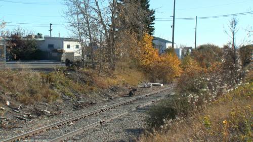 Calgary police seek owners of stolen goods recovered from homeless encampment [Video]