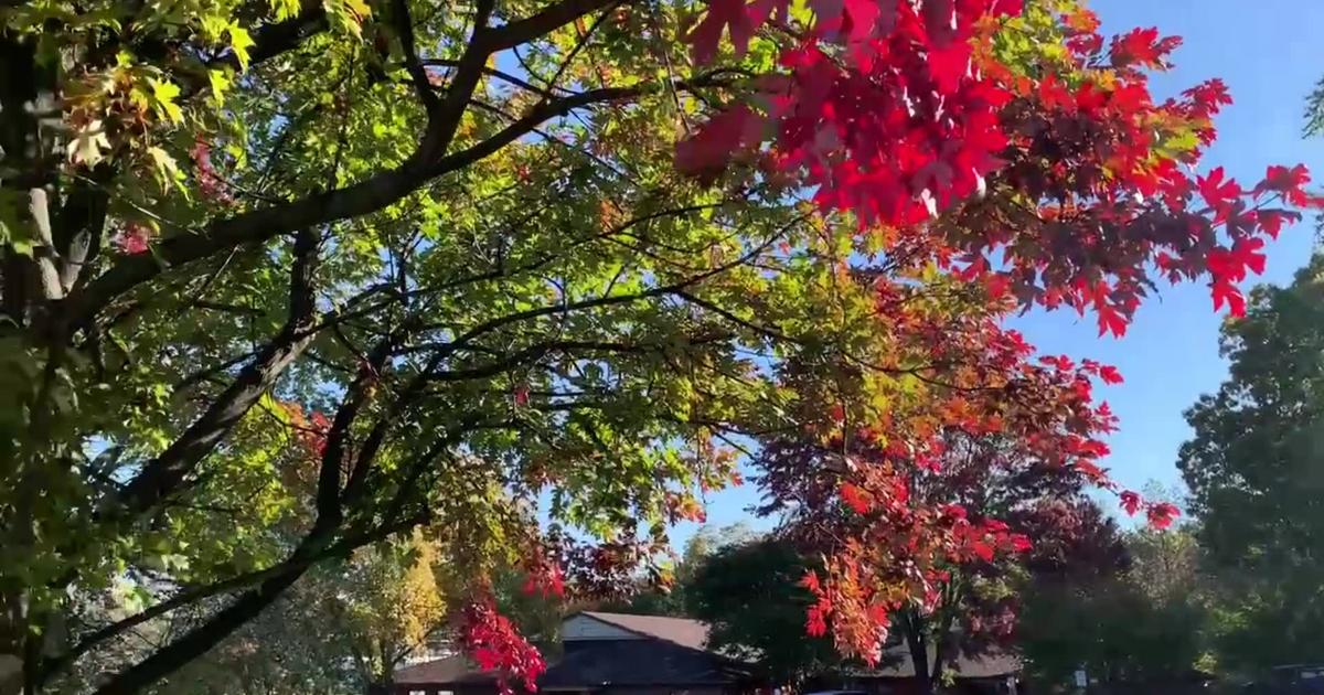 The beauty of fall in Central Virginia [Video]