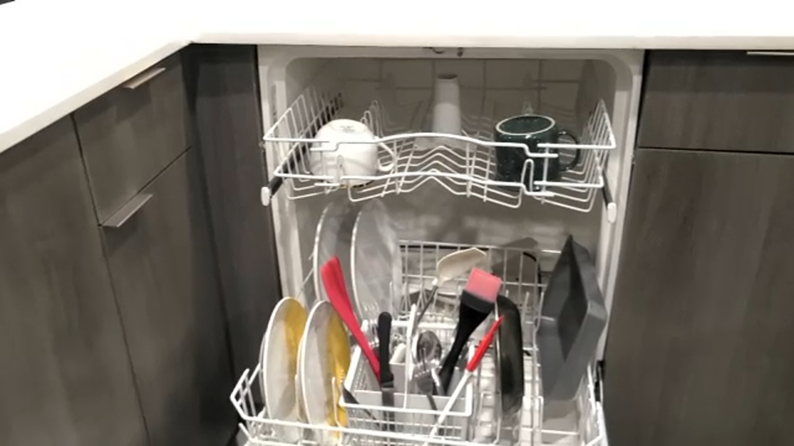 Scientists say the slime in your dishwasher could unlock a solution to global warming [Video]