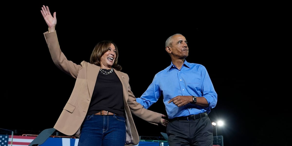 Kamala Harris rallies in DeKalb County with big names [Video]